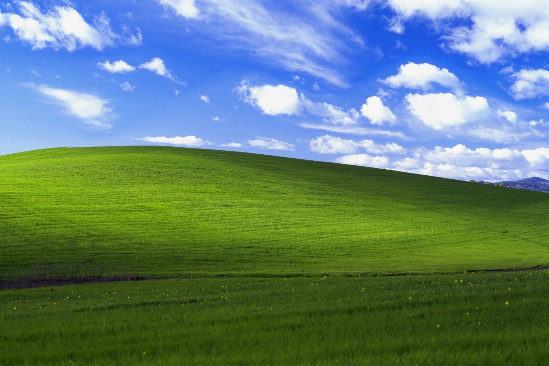 Фотографии виндовс