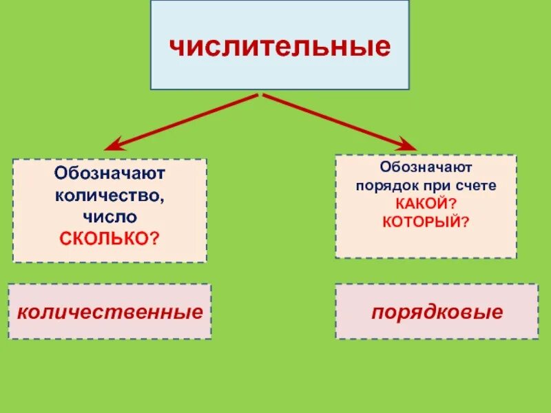 Имя числительное. Количественные числительные. Числительные в русском языке. Кластер числительные. Чем отличаются числительные от других частей речи