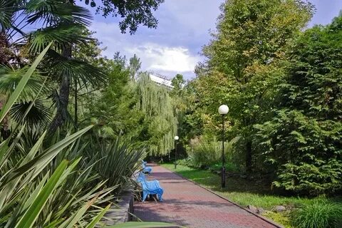 Лоо санкт петербург
