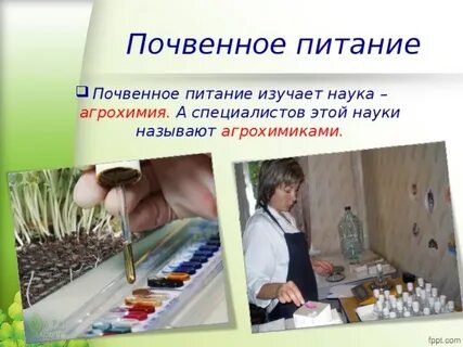Грунтовое питание