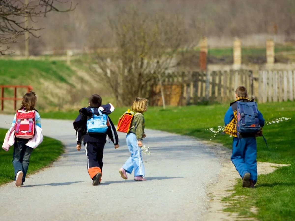 He will go to school. Go to School. Children going to School. Children go to School. Kids go to School.