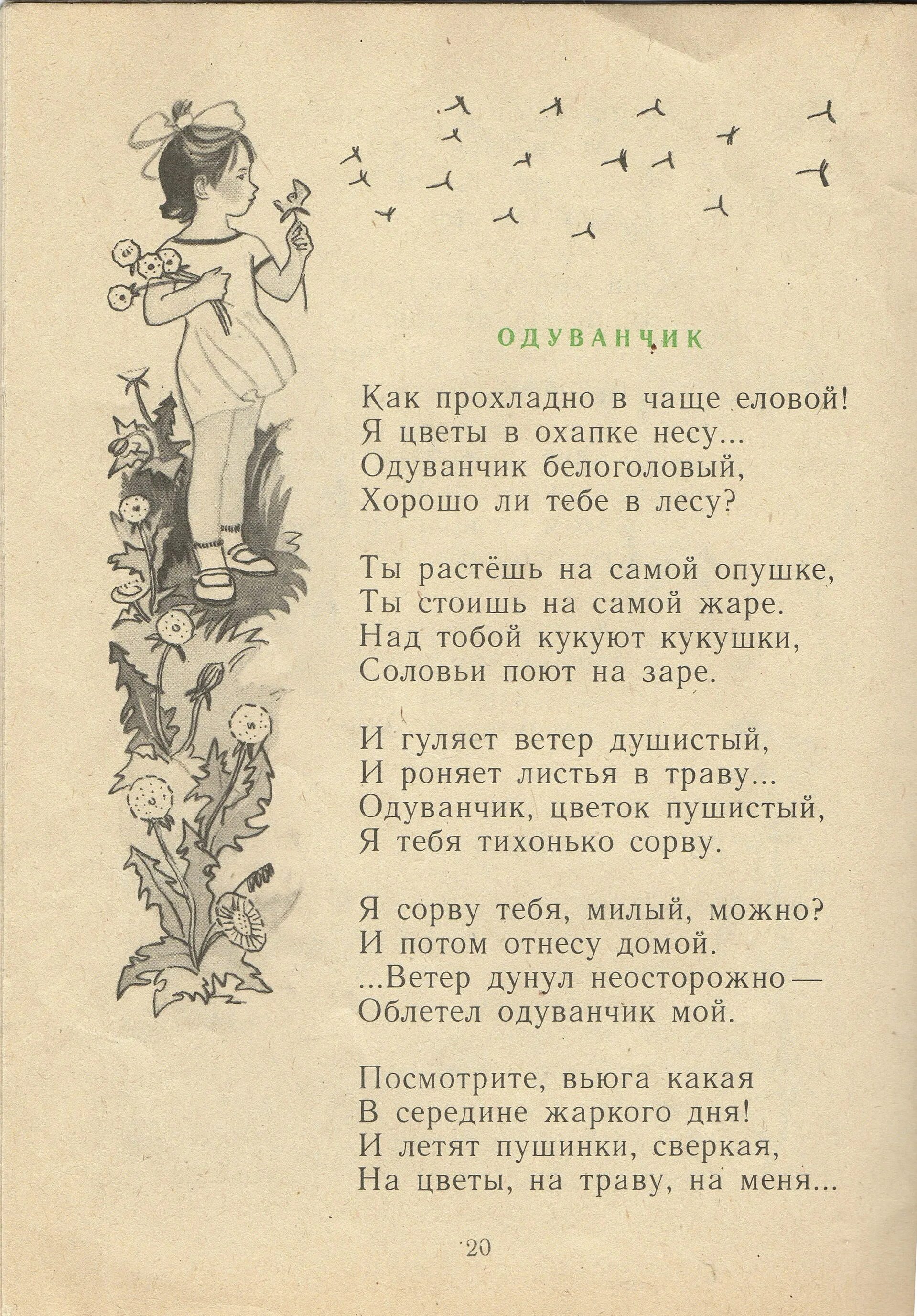 Как прохладно в чаще еловой