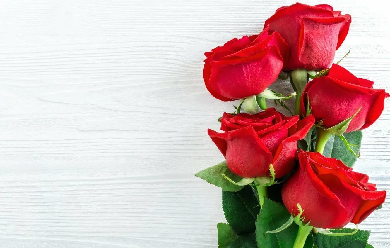 С днём рождения женщине красивые поздравления. Фон цветы. Красный цветок. Розы фон. Поздравления женщине без стихов