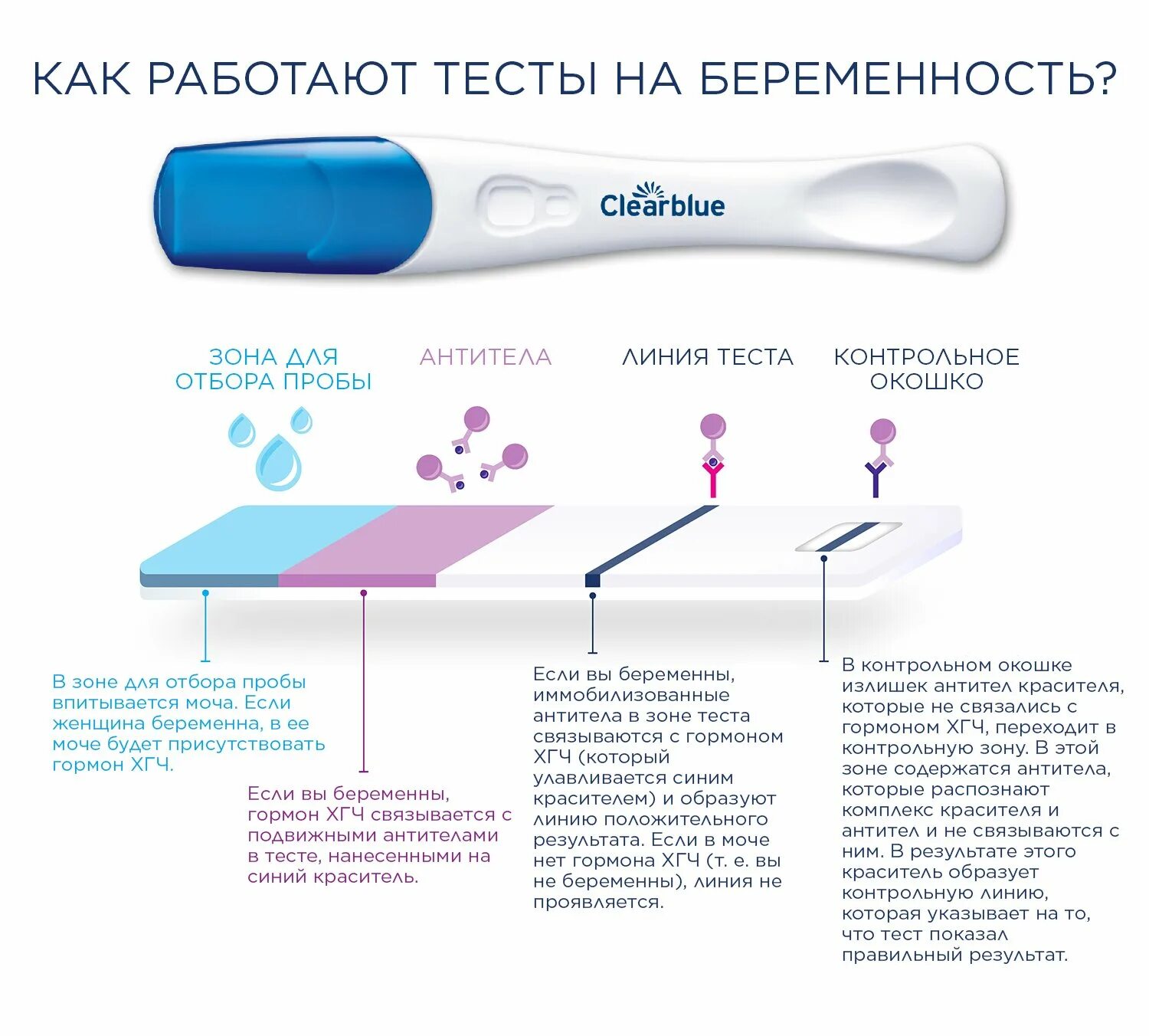 Тест на беременность неделя после акта. Тест на беременность Clearblue чувствительный. Инструкция теста на беременность Clearblue за 5 дней. Чувствительность теста на беременность Clearblue. Струйный тест на беременность Clearblue чувствительность.