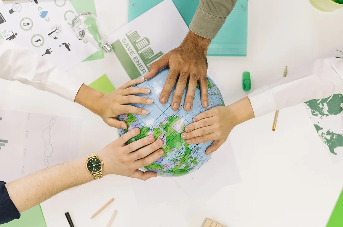 Экология эстетика. Corporate sustainability. Бизнес фото зеленые. Business sustainability. Устойчивый бизнес.