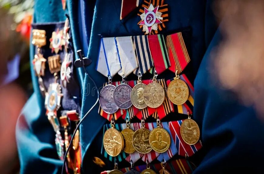 Боевые награды орден славы. Орден нахимова 2 степени. Наград то нет. Наград то нет. Наград то нет.