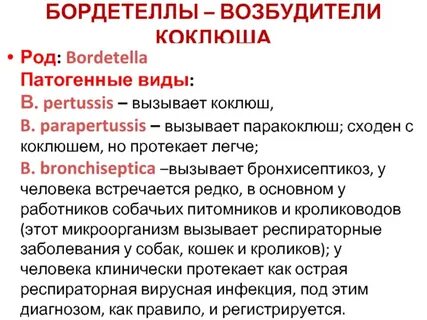 Бордетелла пертуссис что это такое