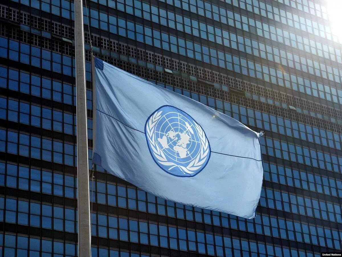 Флаг ООН. Совет безопасности ООН флаг. Флаг организации Объединенных наций. Совбез ООН флаг.