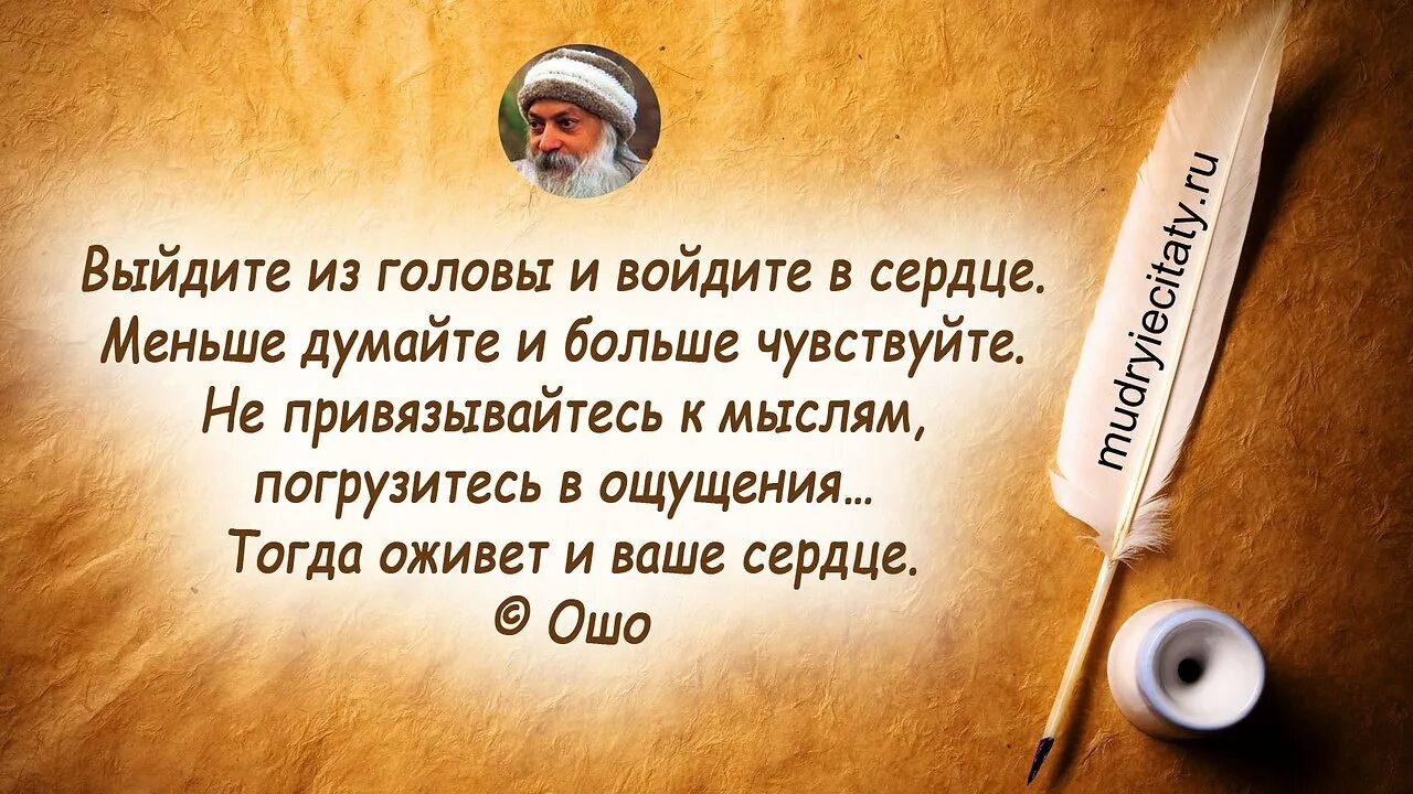 Интересные высказывания. Умные цитаты. Мудрые высказывания. Мудрые цитаты. Я пришел сказать что ухожу