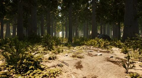 Environment null