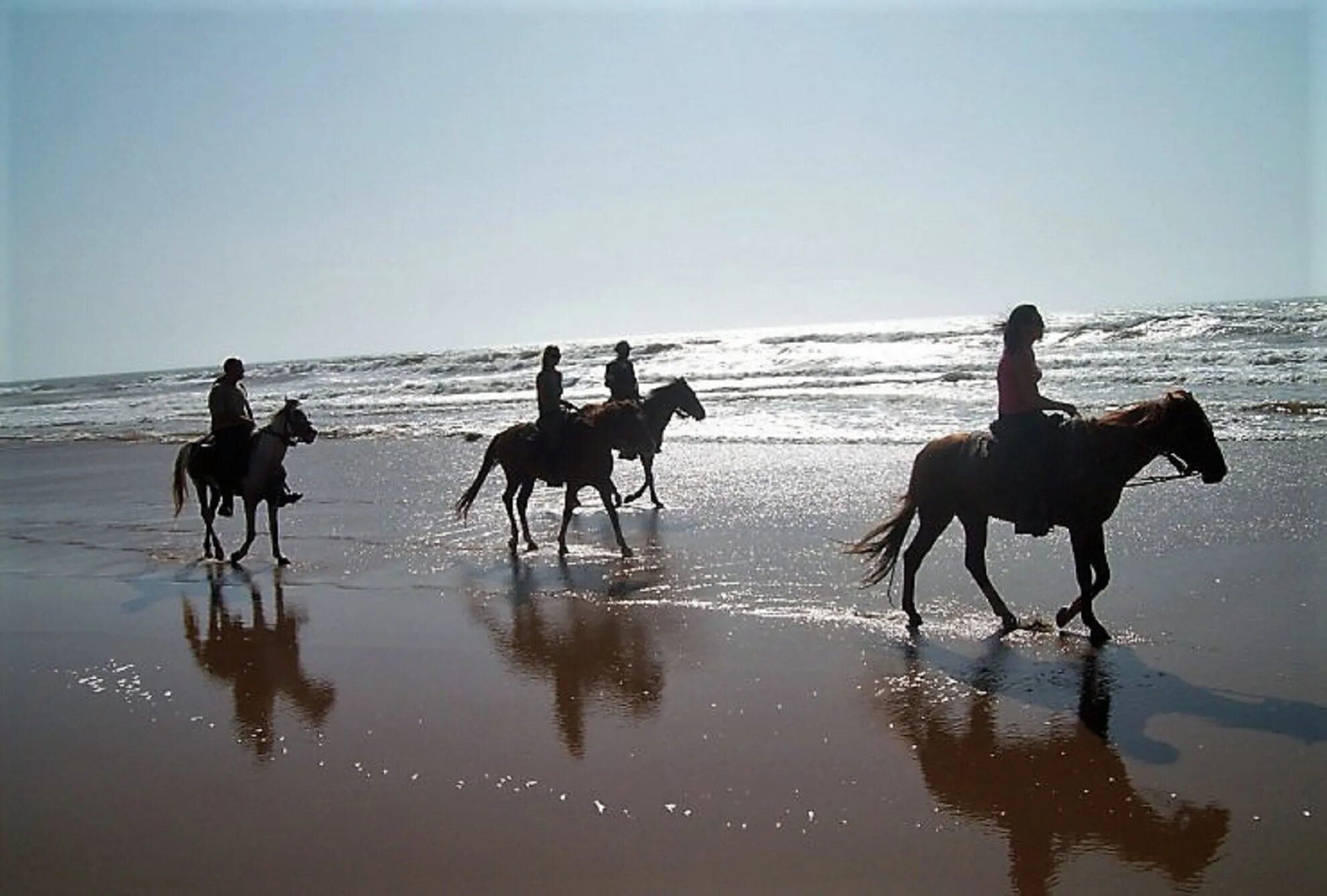 Riding around. Конные прогулки вдоль моря. Марокко лошади. Прогулка на лошадях у моря. Конная прогулка пляж.