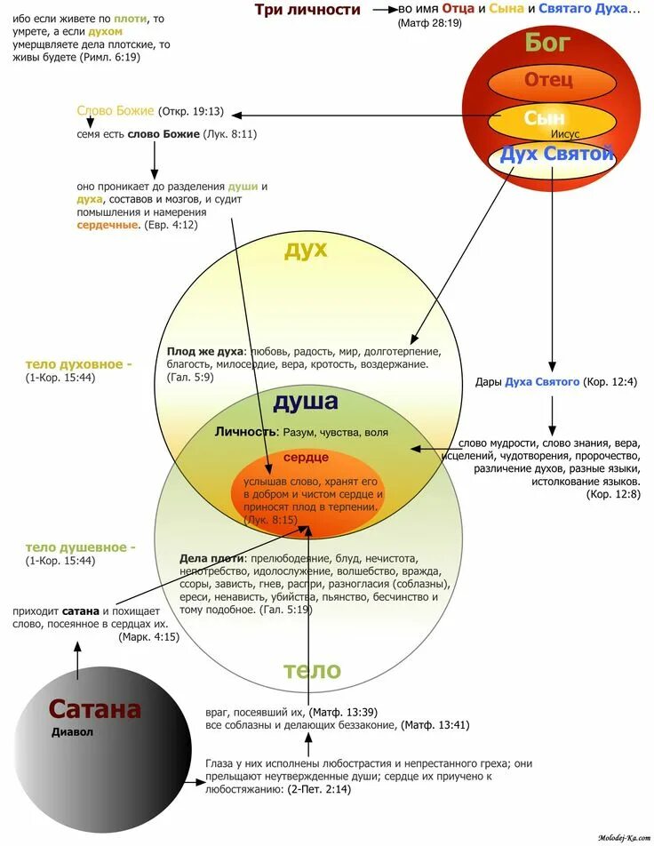 Понятия дух душа. Библейская антропология дух душа и тело. Дух, душа и тело. Дух душа и тело схема. Тело душа и дух в православии.