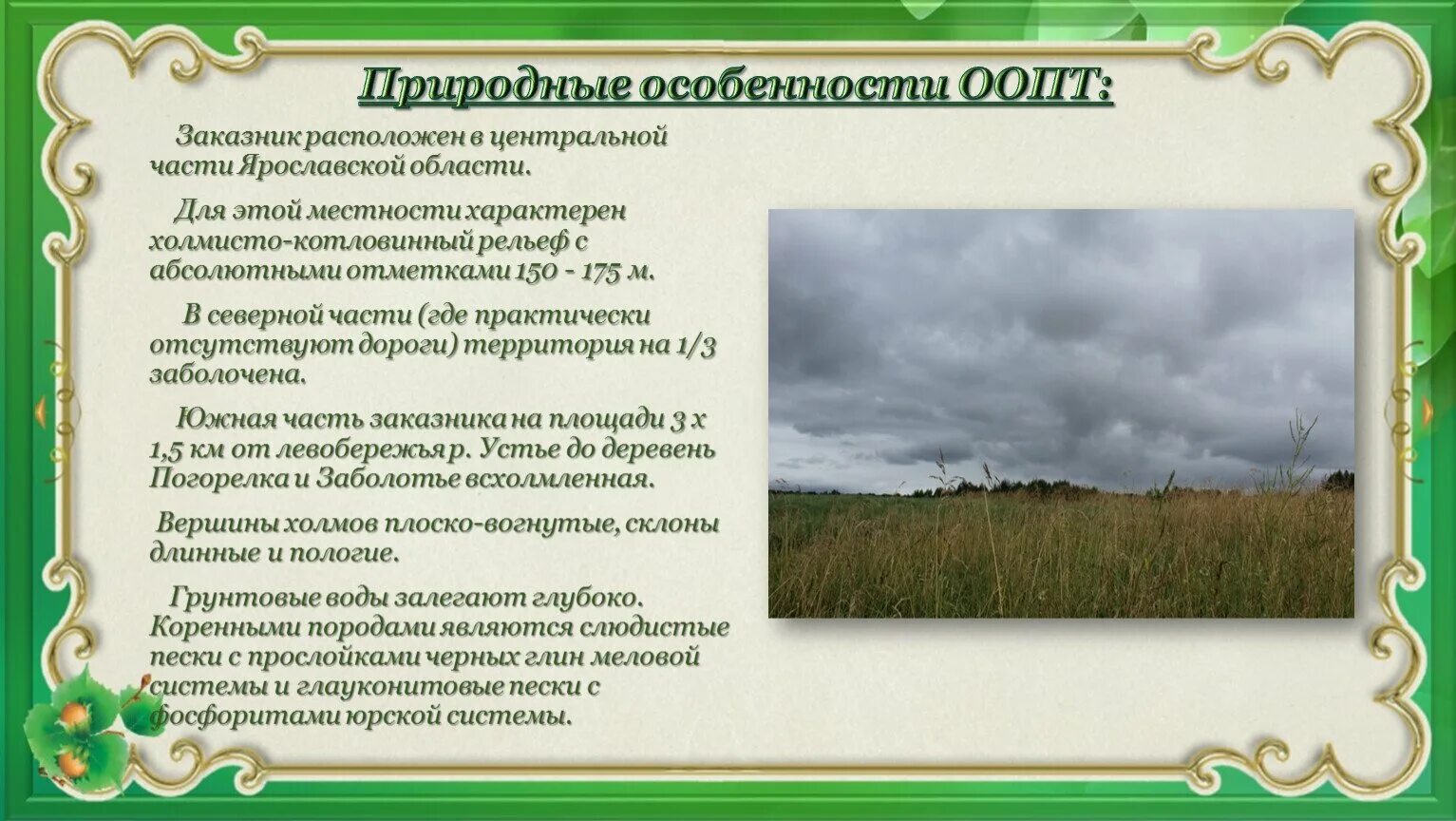 Особенности природных парков. Государственный природный заказник «Ярославский». Природные заповедники Ярославской области. Заказники Ярославской области. Заказники описание.