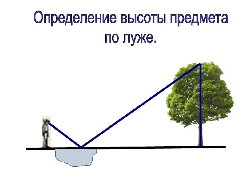 Правильное определение высоты. Измерение высоты предмета на местности. алгоритм измерения высоты предмета. измерение высоты предмета с помощью зеркала. измерение высоты дерева.