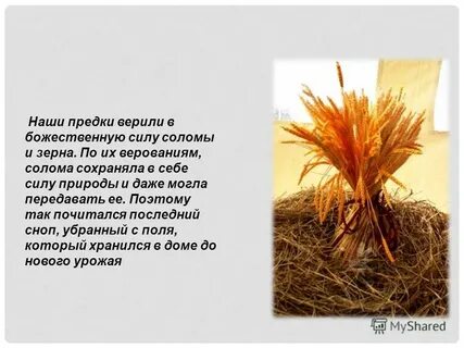 Снопы ударение