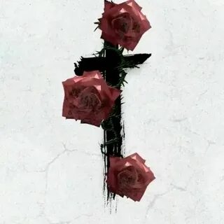 Rough roses
