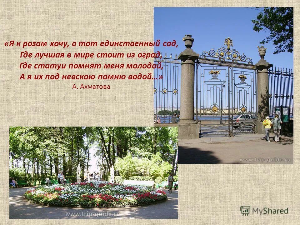 стихи пушкина о летнем саде в петербурге. я к розам хочу в тот. стихотворение я к розам хочу в тот единственный сад. я к розам хочу ахматова. я розу хочу в единственном саду.