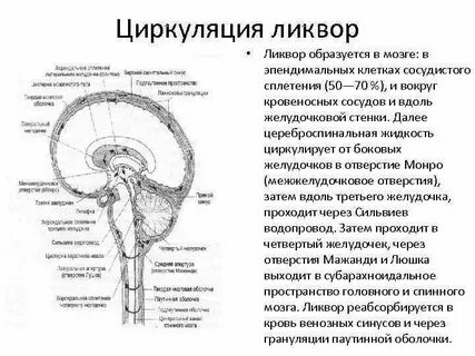 Спинномозговая жидкость в мозгу