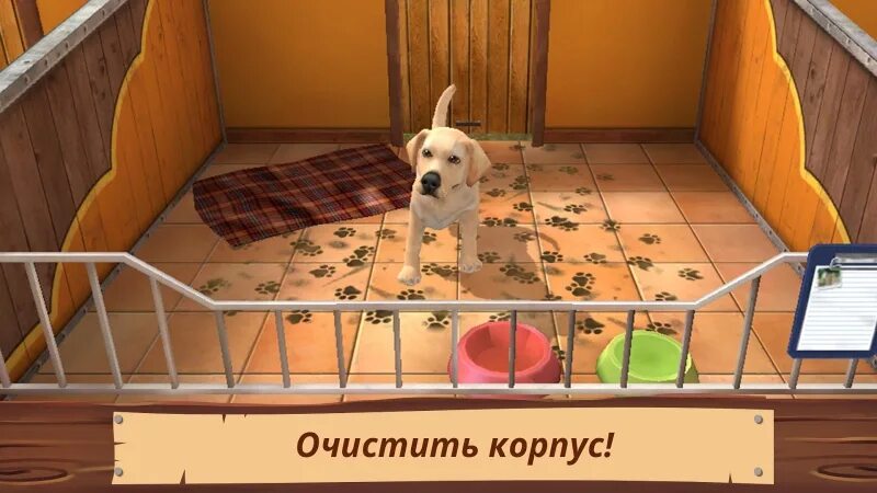 Kinito pet game. Игра приют для животных animal Shelter. PETWORLD приют для животных. Игра Pet World. Приют для питомцев игра.