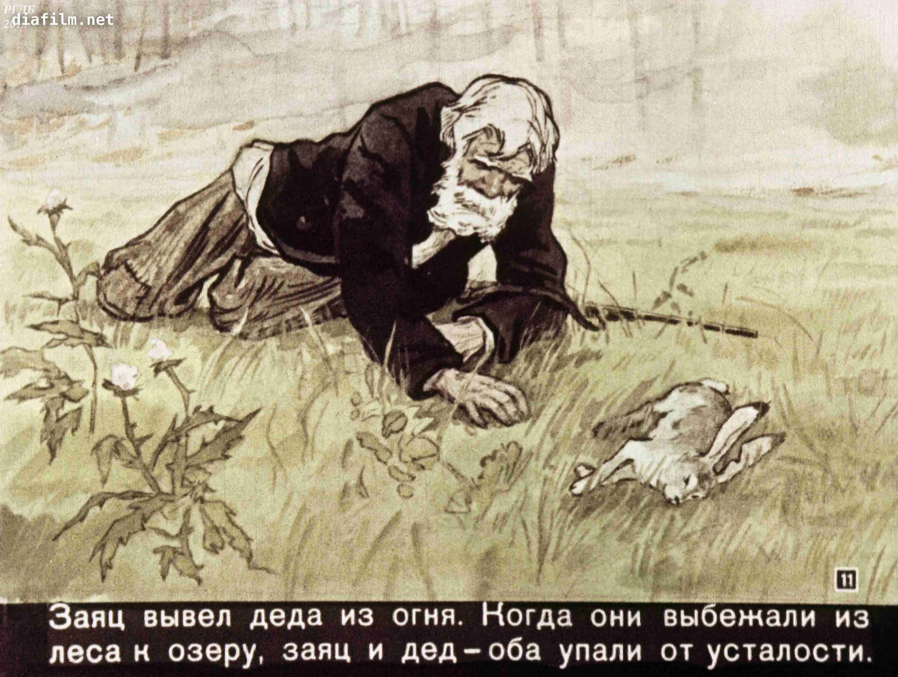 Заячьи лапы