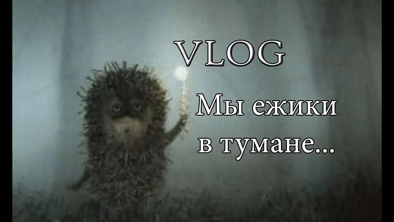 Ежик то тумана нет. Ежик в тумане высказывания. Ёжик в тумане с автоматом. Иногда хочется свалить в туман. «ёжик в тумане» юрия норштейна.