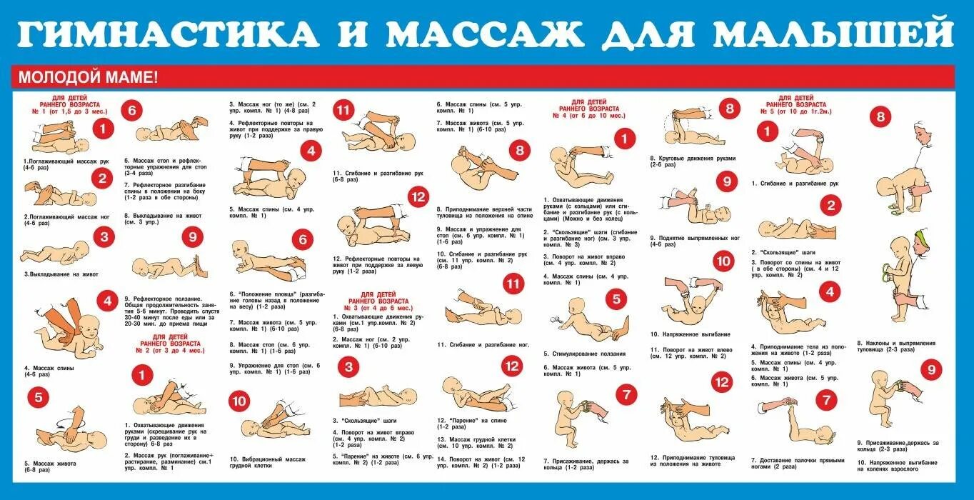 6 месяцев ребенку газы. Массаж для младенца 2 месяца и упражнения в домашних условиях. массаж и гимнастика комплекс для детей от 1 до 3 месяцев. зарядка для новорожденных 1 месяц. массаж и гимнастика для новорожденных 1,5 месяцев.