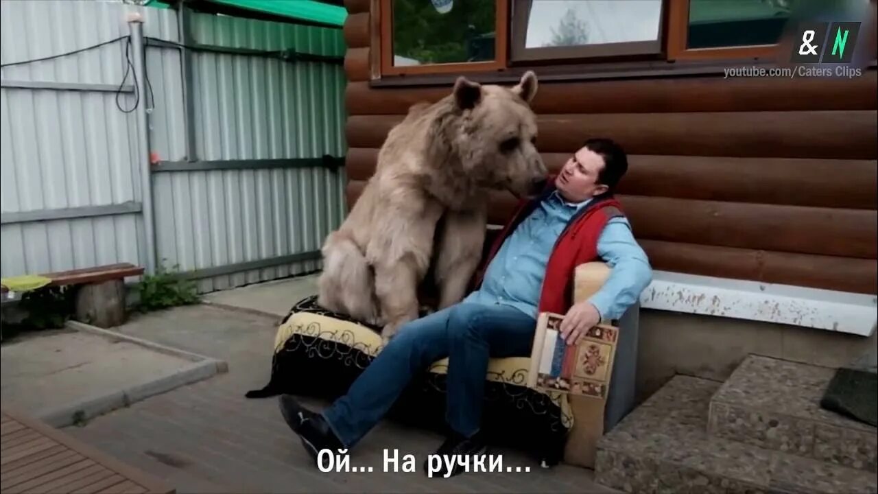 Медведь помог. Медведь помог