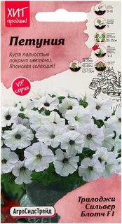 Петуния сильвер блотч