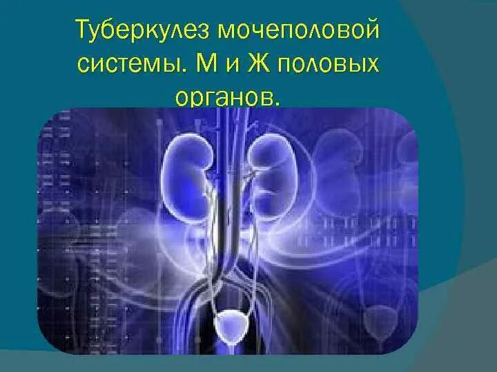 Туберкулез мочевой системы