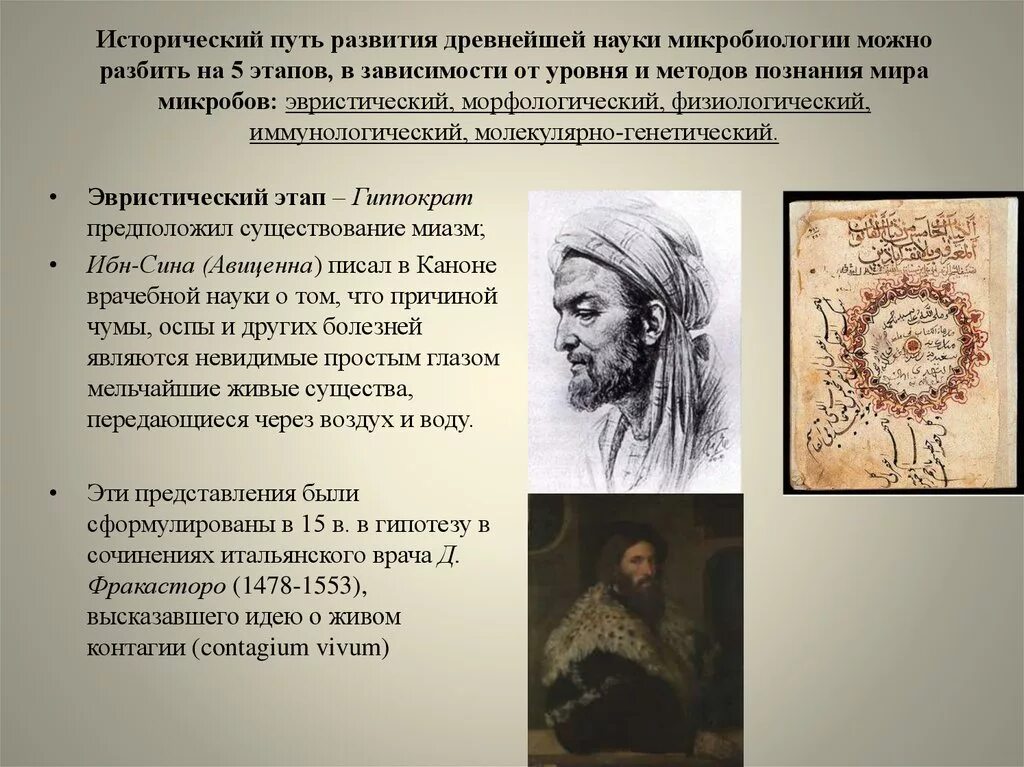 Исторические этапы развития микробиологии. Исторические этапы развития микробиологии. Краткая история развития микробиологии. Исторические этапы развития микробиологии. Исторические этапы развития микробиологии.