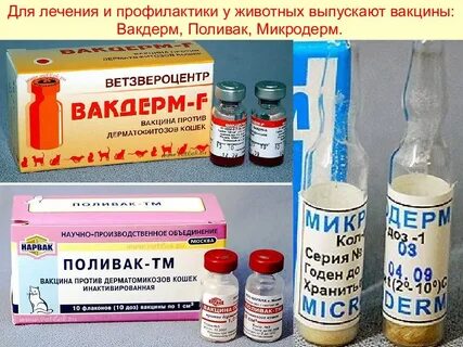 Микродерм