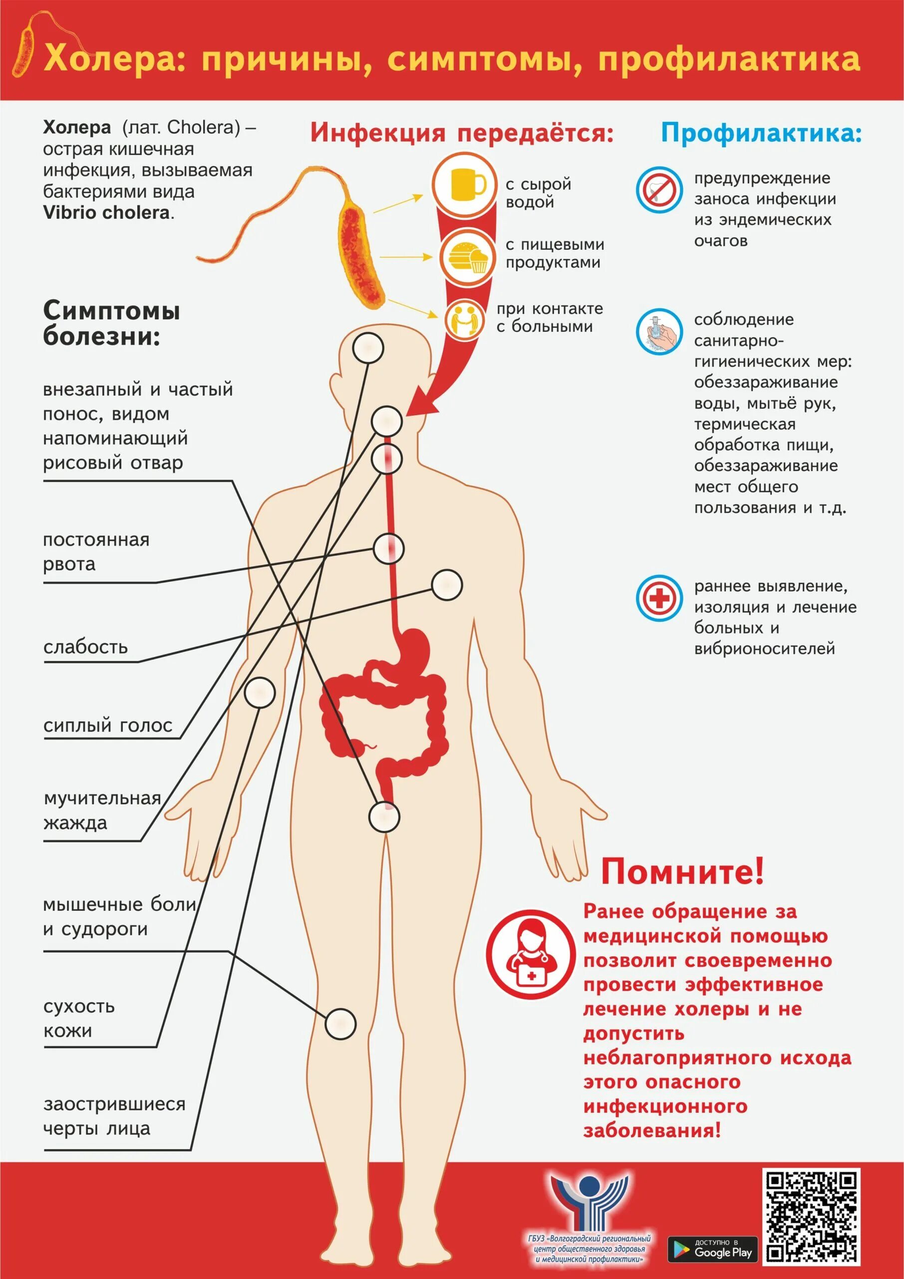 Какие инфекции вызывают. Холера памятка симптомы. Основные клинические симптомы при холере.. Холера возбудитель симптомы профилактика. Схема заражения холеры.