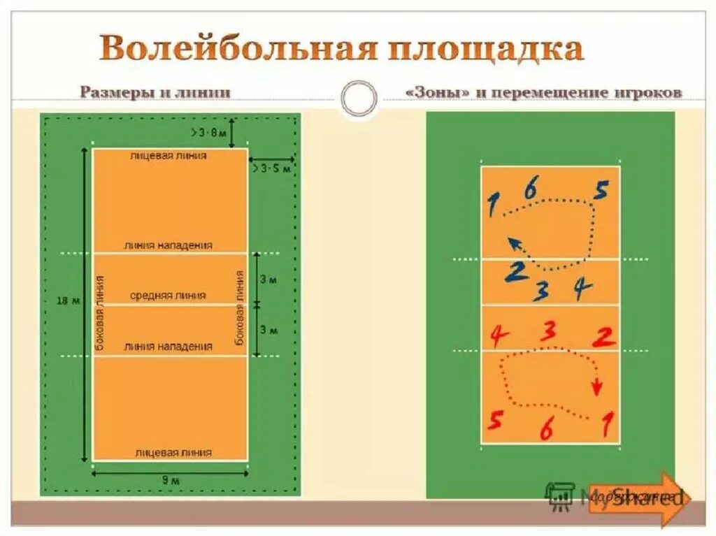 Волейбольная площадка схема с зонами. Волейбольная площадка схема и разметка. Как называются линии в волейболе. Как называются линии на волейбольной площадке. Переход в волейболе между игроками