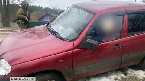Брянские террористов
