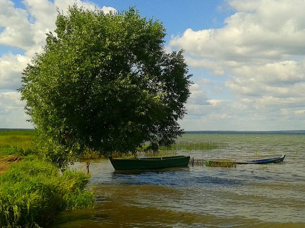 Плещееве сайты. Плещеево озеро Переславль Залесский. Национальный парк Плещеево озеро пляж. Национальный парк Плещеево озеро Переславль Залесский. Переславль-Залесский пляжи Плещеева озера.