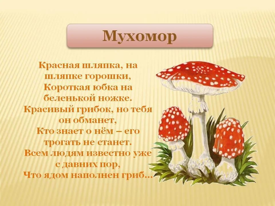 Стихотворение про грибы. Стих про грибы для детей. Мухомор для детей. Стишки про грибы. Ох грибок ты мой грибочек анализ