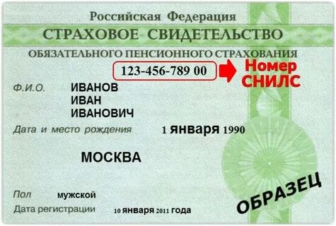Страховое свидетельства жизни