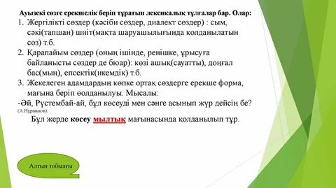Термин сөздер дегеніміз не