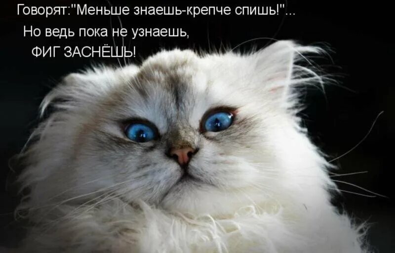 Ладно ведь