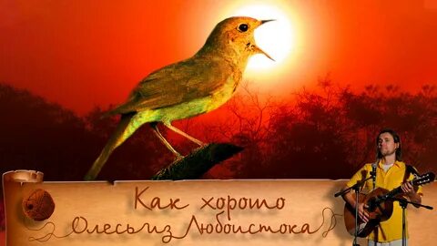 04 как хорошо олесь из любоистока watch online hight quality video.