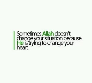 Your situation