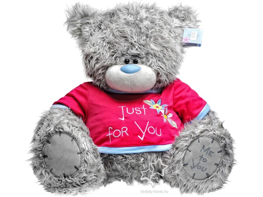 Плюшевая фоторамка. 320 х 240 мишки teddy. Валберис мишка тедди. Мишка тедди 2024. Мишка тедди 2024.