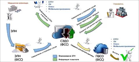 Сэдо фсс код 504