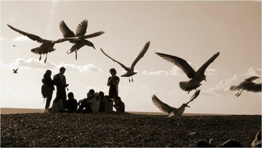 мужчина и небо. птица свободы.