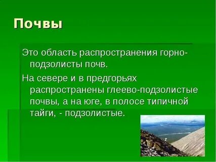 Тип почв урала