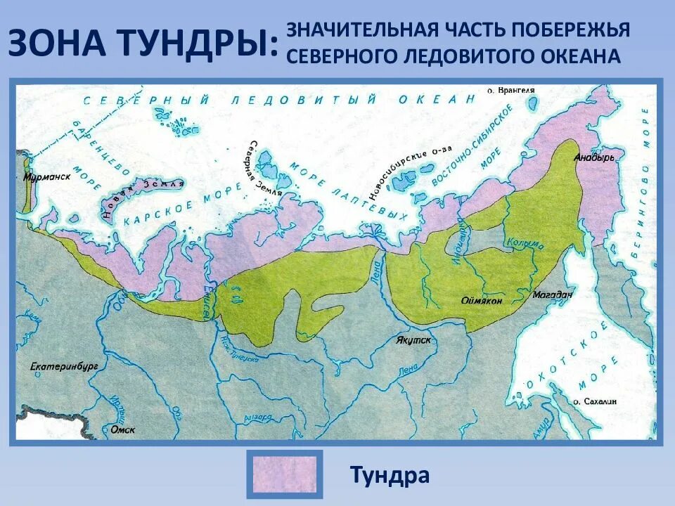 Тундра и другие зоны. Зона тундры 4 класс окружающий мир на карте. Зона тундры на карте России 4 класс. Природные зоны Российской Федерации тундра. Расположение тундры на карте России.