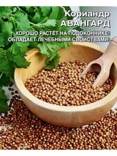 Кориандр это кинза или нет