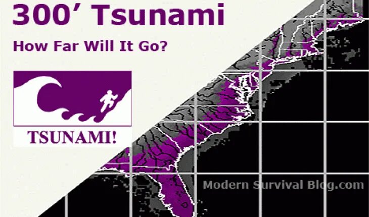 Рама Tsunami SNM 100. Tsunami SNM 100 черный с красными буквами. Размеры Tsunami SNM 100. Tsunami Kappa.