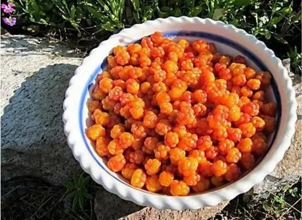 Поедим морошку