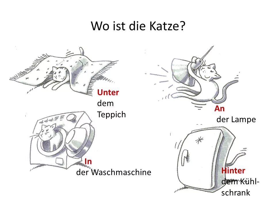 Ist das katze. Предлог к katze. das die der а) lampe. katze и бустер. die katze она.